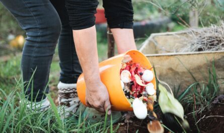 Person holding an orange bucket with compost and pouring into the soil in the rural garden