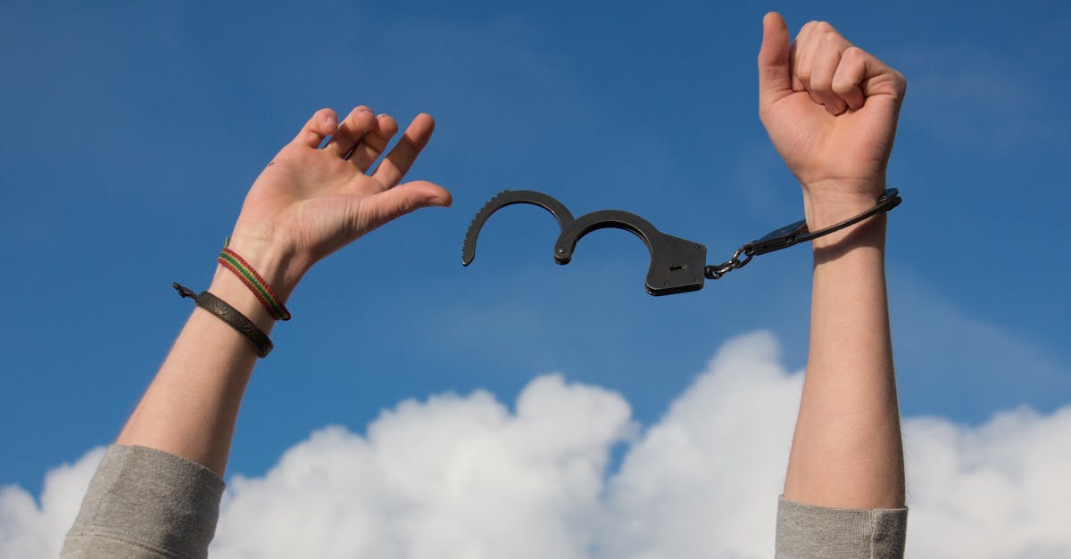 découvrez le concept de résilience, cette capacité à surmonter les épreuves et à s'adapter face aux défis de la vie. apprenez comment renforcer votre résilience personnelle pour mieux faire face aux obstacles et en sortir plus fort.