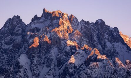 découvrez les anxiolytiques naturels, des solutions sûres et efficaces pour apaiser le stress et l'anxiété. explorez les plantes, les compléments et les techniques de relaxation qui favorisent votre bien-être mental.