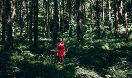 découvrez l'écothérapie, une approche innovante qui utilise la nature pour favoriser le bien-être mental et émotionnel. explorez les bienfaits des processus thérapeutiques en plein air, reconnectez-vous avec l'environnement et découvrez comment la nature peut être une source de guérison.