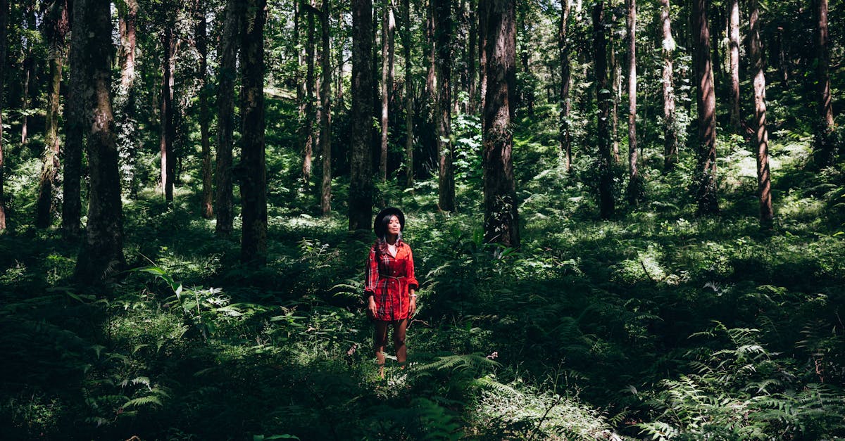 découvrez l'écothérapie, une approche innovante qui utilise la nature pour favoriser le bien-être mental et émotionnel. explorez les bienfaits des processus thérapeutiques en plein air, reconnectez-vous avec l'environnement et découvrez comment la nature peut être une source de guérison.