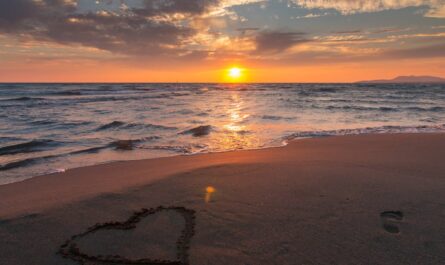 découvrez l'essence de l'amour à travers des histoires touchantes, des conseils relationnels et des réflexions profondes. plongez dans un univers où chaque sentiment est célébré, que ce soit le grand amour, l'amitié ou l'amour de soi. trouvez l'inspiration et reconnectez-vous à vos émotions.