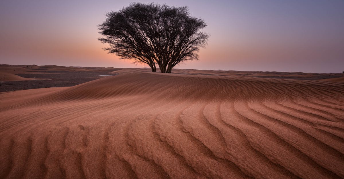 découvrez le concept d'emptiness, qui explore la profondeur de l'absence et le vide existentiel. une réflexion sur la quête de sens et l'importance de la plénitude dans nos vies modernes.