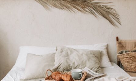 découvrez l'univers douillet et apaisant de la 'comfort zone', un espace dédié à votre bien-être où sérénité et relaxation se rencontrent. plongez dans un cadre qui favorise la détente et la reconstruction de soi, loin du stress quotidien.