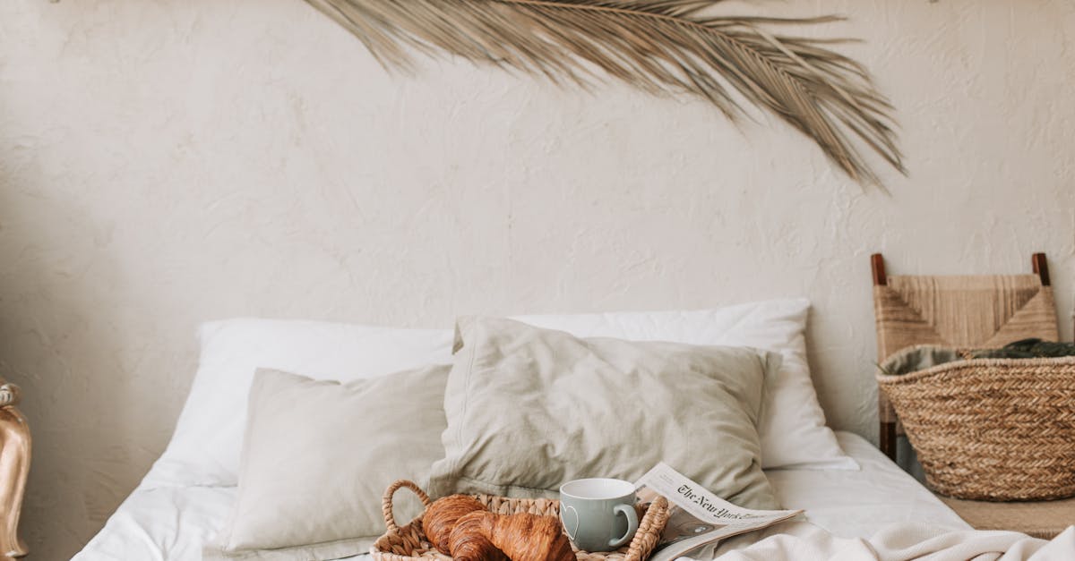 découvrez l'univers douillet et apaisant de la 'comfort zone', un espace dédié à votre bien-être où sérénité et relaxation se rencontrent. plongez dans un cadre qui favorise la détente et la reconstruction de soi, loin du stress quotidien.