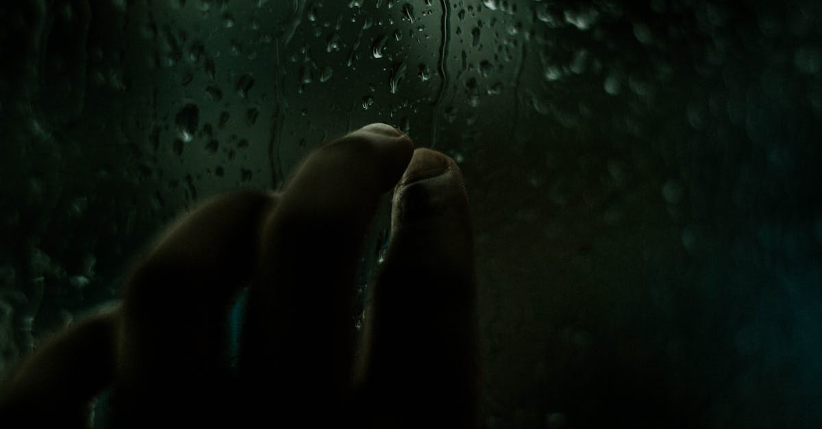 découvrez les personnalités solitaires : un regard fascinant sur ceux qui préfèrent la solitude, leur façon de penser et d'interagir avec le monde. explorez les caractéristiques, les défis et les richesses de ces individus uniques.