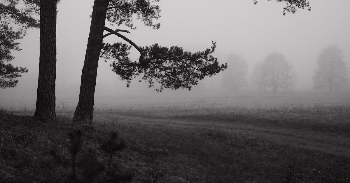 découvrez comment lutter contre le brouillard mental, ses causes, ses symptômes et des stratégies efficaces pour améliorer votre clarté d'esprit et votre concentration. reprenez le contrôle de votre cognition avec nos conseils pratiques.