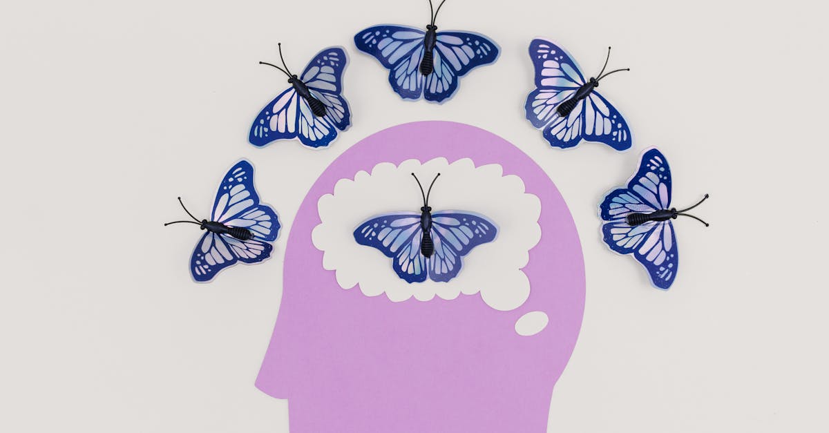 découvrez le monde fascinant des biais cognitifs, ces distorsions psychologiques qui influencent notre prise de décision et notre perception de la réalité. apprenez à les reconnaître et à les surmonter pour améliorer votre jugement et vos interactions quotidiennes.