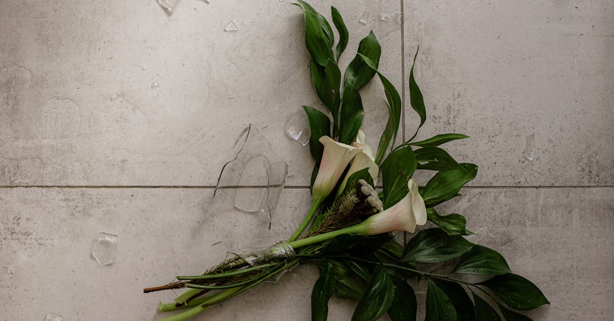découvrez nos conseils et ressources sur le divorce : procédures, droits des conjoints, garde d'enfants et médiation. informez-vous pour naviguer sereinement à travers cette étape difficile.