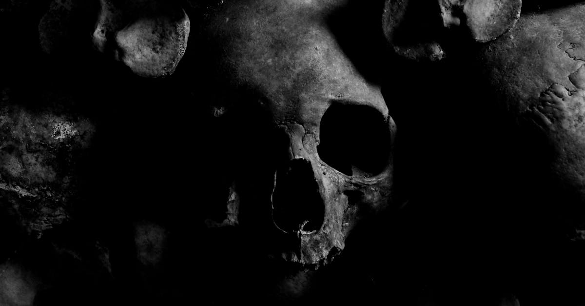 découvrez 'ghosted', une exploration captivante des relations modernes à l'ère numérique. plongez dans l'univers complexe du ghosting, où l'absence de communication laisse place à des émotions conflictuelles. éveillez votre curiosité sur les conséquences de cette pratique sur les relations humaines et les enjeux de notre connexion virtuelle.