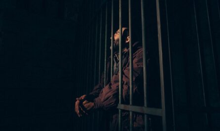 découvrez l'univers sombre et captivant de 'misery', le roman emblématique de stephen king. plongez dans l'angoisse et le suspense à travers l'histoire d'un écrivain capturé par sa plus grande fan, mêlant obsession, peur et lutte pour la survie.