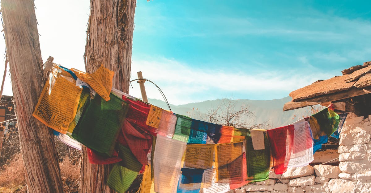 découvrez le principe du karma, cette loi universelle qui relie nos actions à leurs conséquences. explorez comment le karma influence nos vies et nos relations, et apprenez à cultiver des actions positives pour un impact bénéfique.