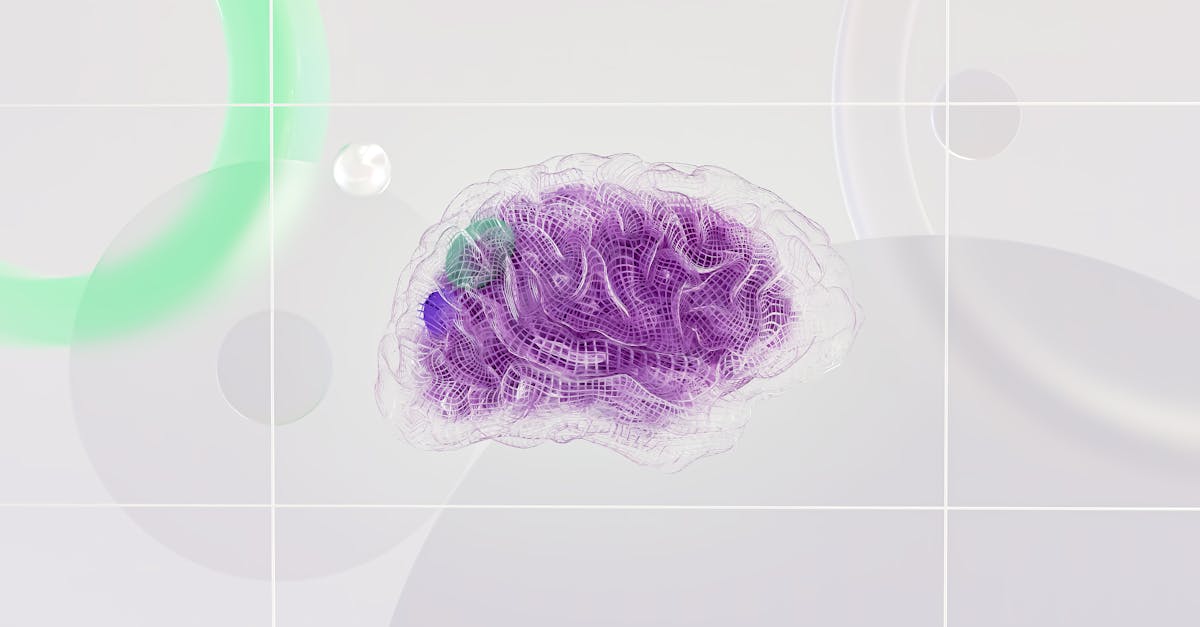 découvrez les mystères du cerveau humain : un organe fascinant régissant nos pensées, émotions et comportements. explorez son anatomie, ses fonctions et les dernières avancées en neurosciences.