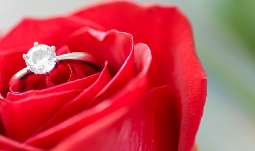 Pourquoi je ne rencontre pas l’amour : compréhension et solutions