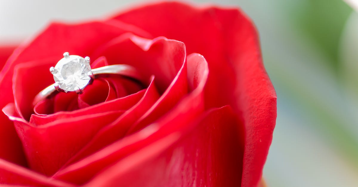 découvrez l'essence de l'amour avec nos articles captivants et inspirants. explorez des histoires, des conseils et des réflexions sur les relations, la passion et l'affection pour enrichir votre vie amoureuse.