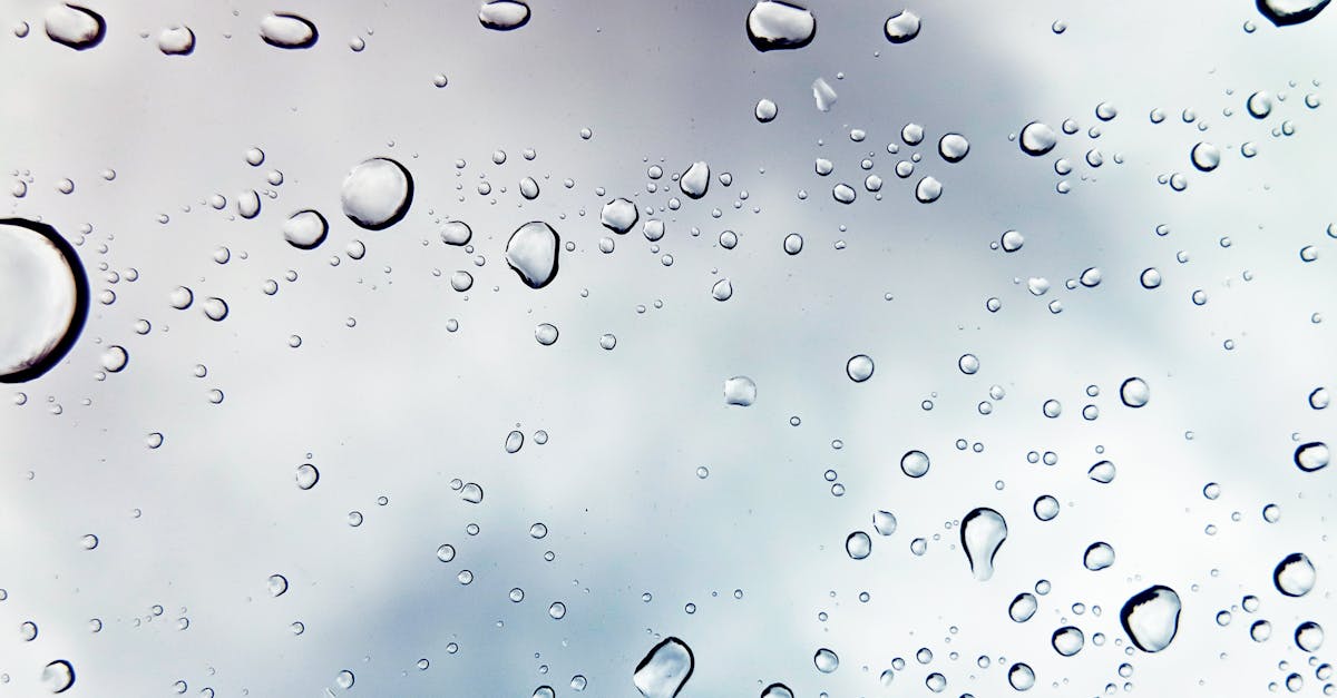 découvrez l'univers apaisant de la pluie avec notre article captivant. explorez ses bienfaits, son impact sur la nature et comment elle inspire la créativité. plongez dans l'atmosphère unique que seule la pluie peut offrir.