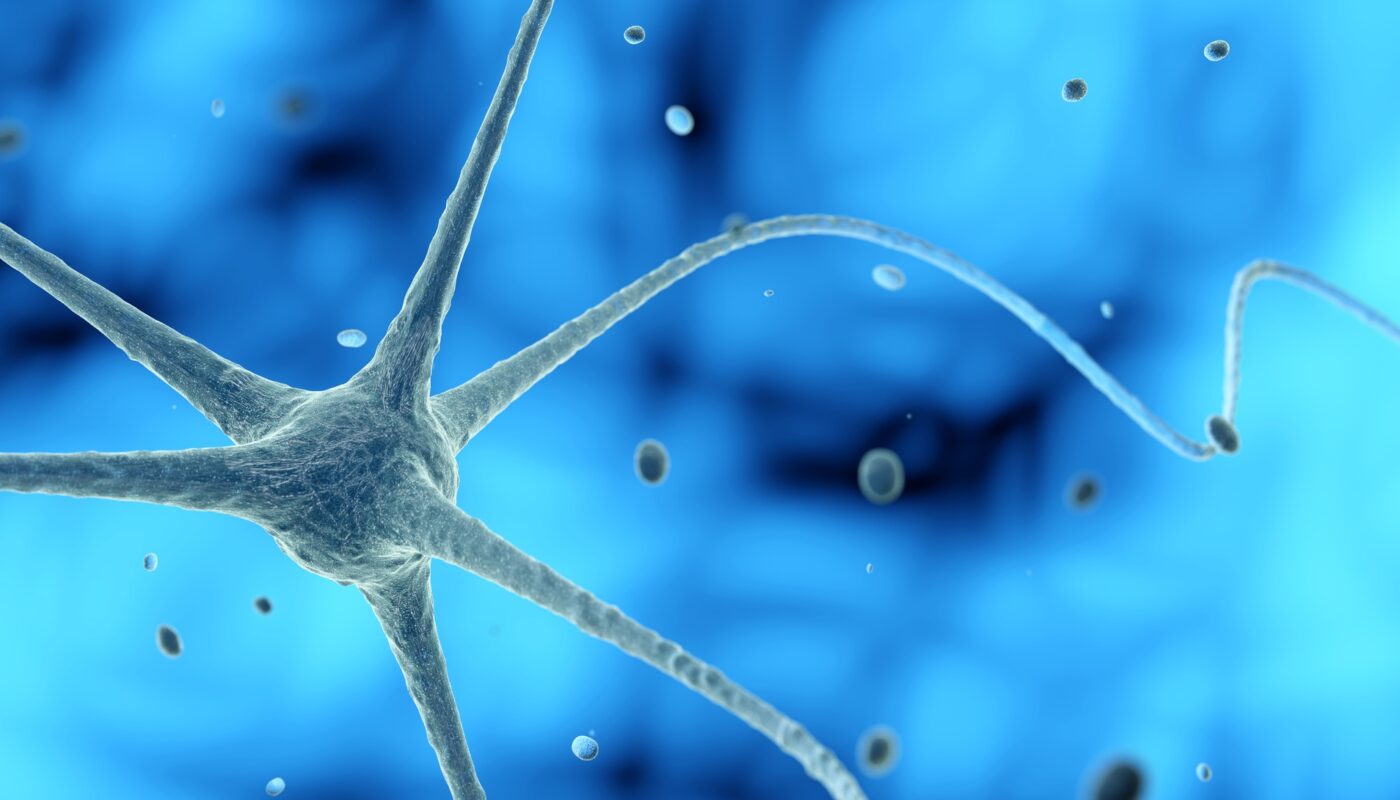 Image principale pour Comment commencer à fabriquer de nouveaux neurones