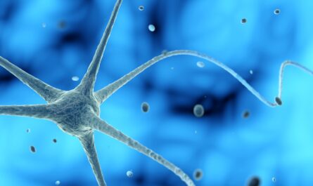 Image principale pour Comment commencer à fabriquer de nouveaux neurones