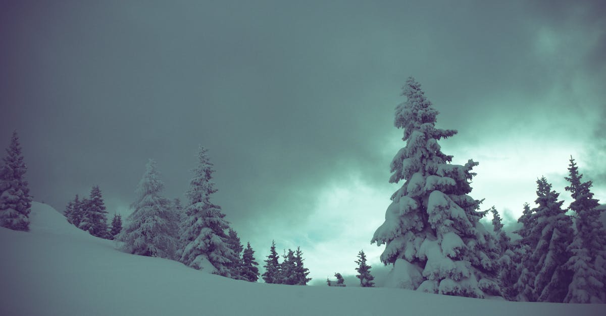 découvrez l'art du silence, un état de paix intérieur qui favorise la réflexion et la méditation. plongez dans un voyage apaisant vers la sérénité et l'écoute de soi.