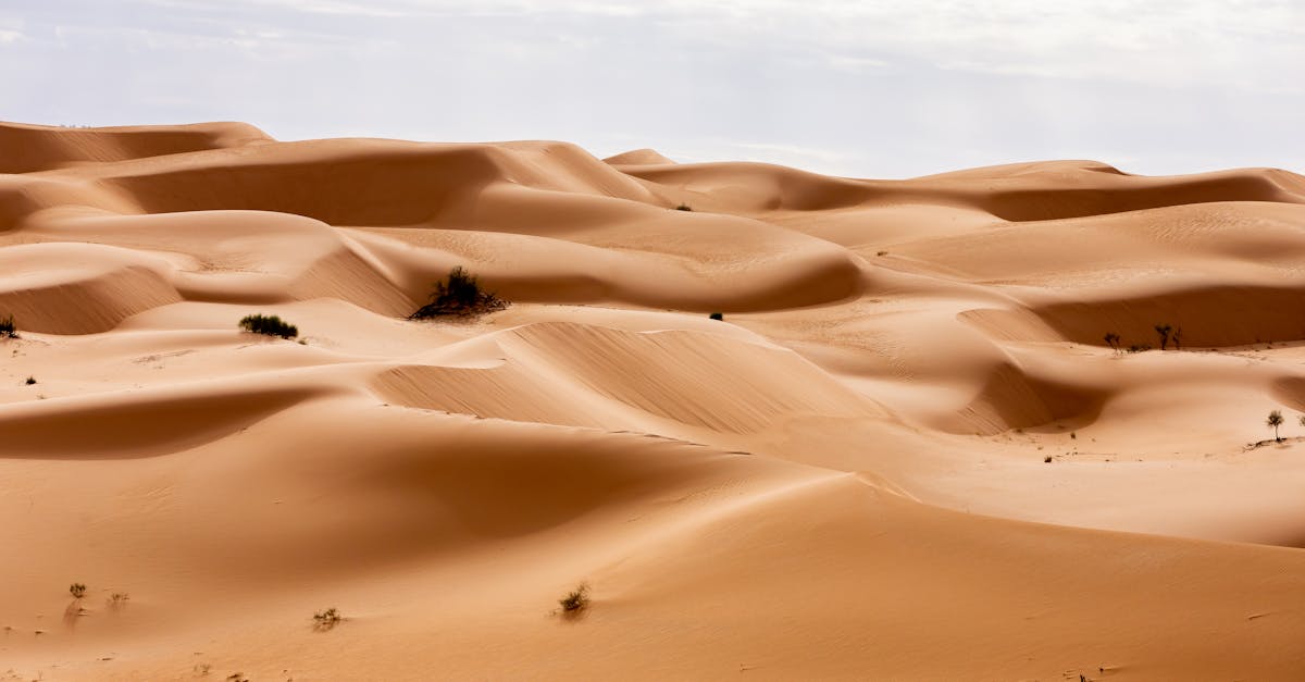 découvrez l'algérie, un pays aux paysages diversifiés et à la riche histoire culturelle. entre ses montagnes majestueuses, ses déserts fascinants et ses villes vibrantes comme alger, explorez les merveilles de cette destination unique en afrique du nord.