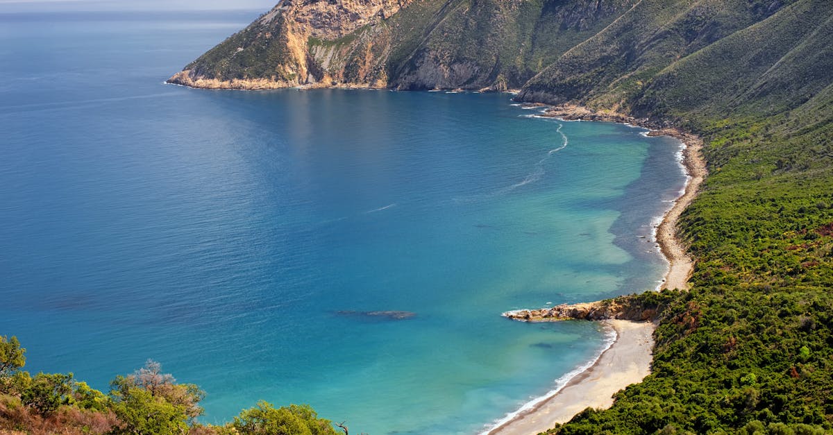 découvrez les plages envoûtantes de l'algérie, entre sable fin et eaux turquoise. profitez d'une expérience inoubliable au bord de la méditerranée, idéale pour la détente, les activités nautiques et des moments inoubliables en famille ou entre amis.