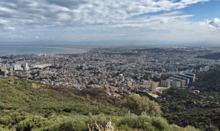 découvrez annaba, une ville côtière algérienne riche en histoire et en culture. explorez ses plages magnifiques, ses sites archéologiques fascinants et sa gastronomie savoureuse. partez à la découverte des trésors cachés d'annaba et vivez une expérience inoubliable.