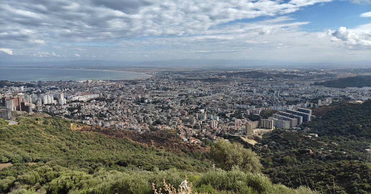 découvrez annaba, une ville côtière algérienne riche en histoire et en culture. explorez ses plages magnifiques, ses sites archéologiques fascinants et sa gastronomie savoureuse. partez à la découverte des trésors cachés d'annaba et vivez une expérience inoubliable.