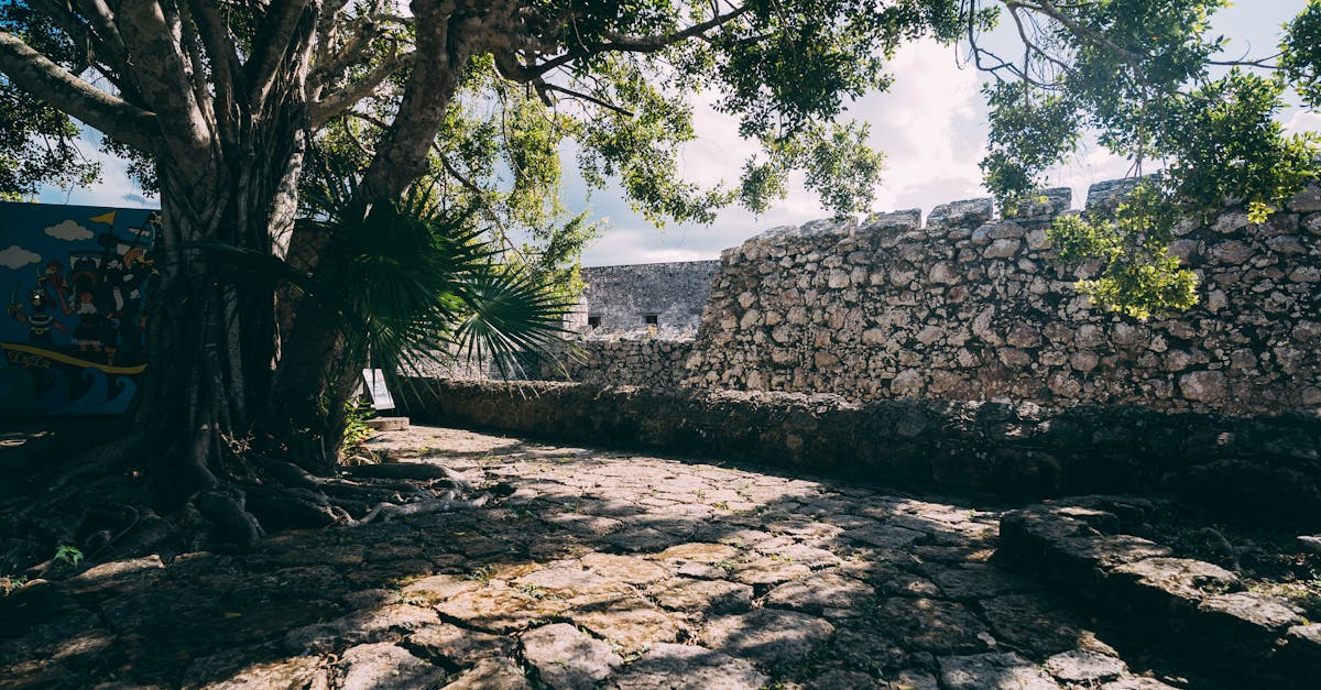 découvrez le tourisme archéologique : explorez des sites historiques fascinants, plongez dans les civilisations anciennes et vivez des expériences inoubliables au cœur de notre patrimoine mondial.