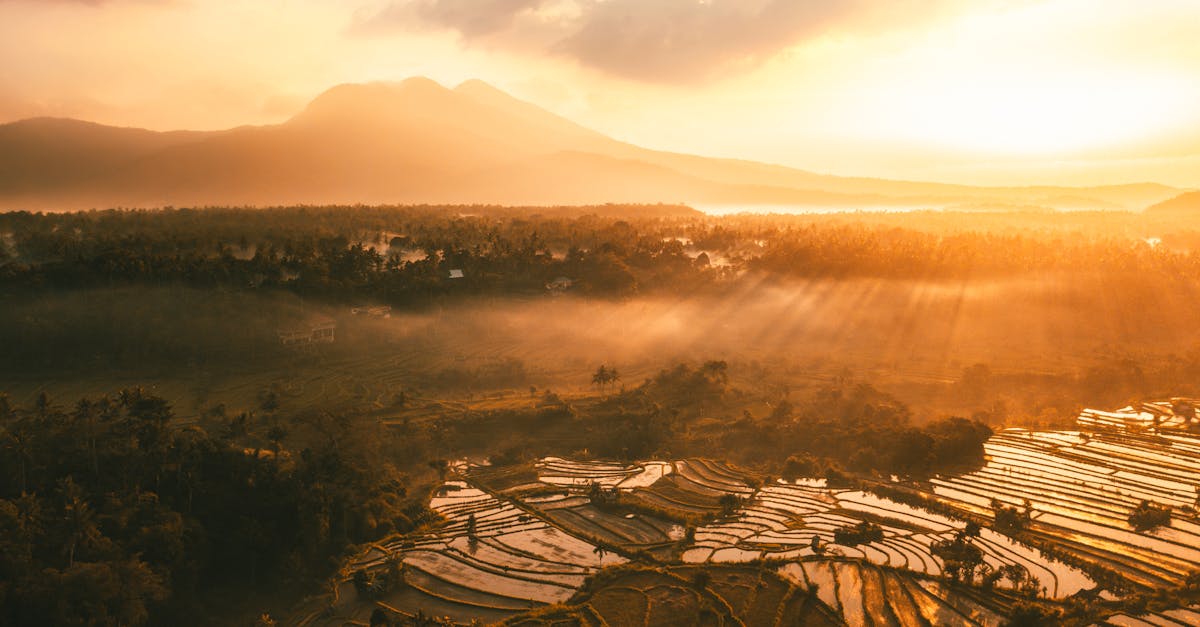 découvrez bali, l'île des dieux, célèbre pour ses plages de sable fin, ses rizières en terrasses et sa culture riche. explorez les temples majestueux, savourez la cuisine balinaise et profitez d'une ambiance paradisiaque.