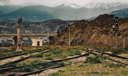 découvrez béjaïa, une magnifique ville côtière en algérie, riche en histoire et en culture. explorez ses paysages à couper le souffle, ses plages ensoleillées et ses sites historiques passionnants qui font de cette destination un incontournable pour les voyageurs.