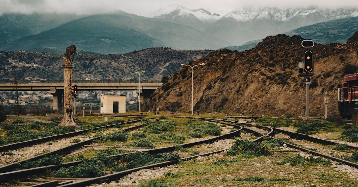 découvrez béjaïa, une magnifique ville côtière en algérie, riche en histoire et en culture. explorez ses paysages à couper le souffle, ses plages ensoleillées et ses sites historiques passionnants qui font de cette destination un incontournable pour les voyageurs.