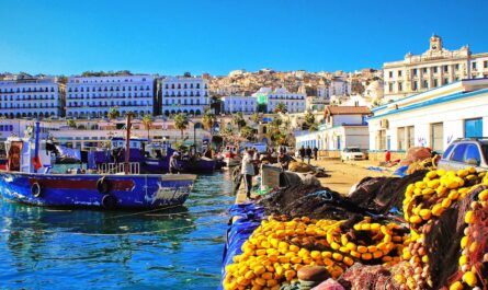 découvrez l'univers fascinant de la casbah, un site emblématique riche en histoire et en culture, où l'architecture traditionnelle rencontre l'animation des marchés. explorez ses ruelles étroites, admirez ses monuments historiques et plongez dans l'atmosphère unique de cet endroit captivant.