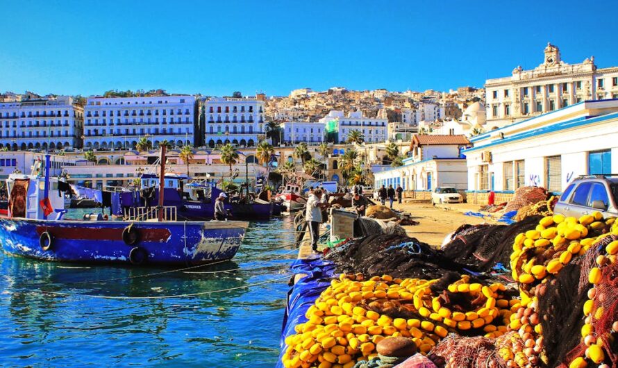 La Casbah d’Alger classée par l’UNESCO : que voir, que comprendre