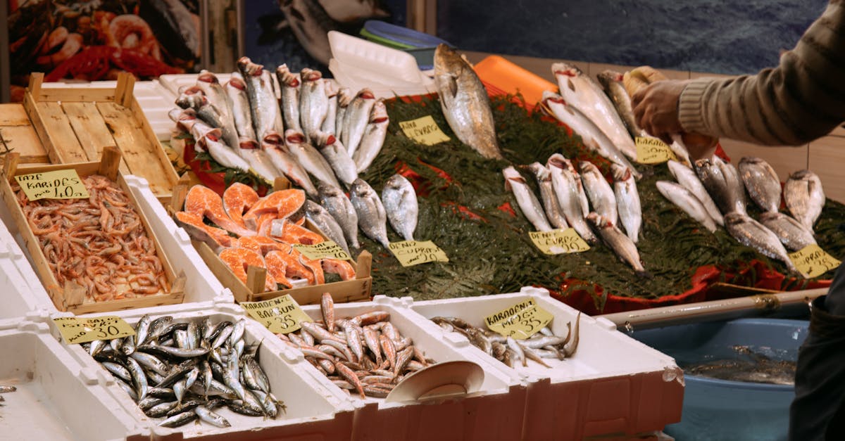 découvrez le tourisme culinaire, une expérience enrichissante qui vous permet d'explorer les cultures à travers leurs saveurs. partez à l'aventure à la rencontre des traditions locales, savourez des plats typiques et participez à des ateliers gastronomiques pour éveiller vos papilles.
