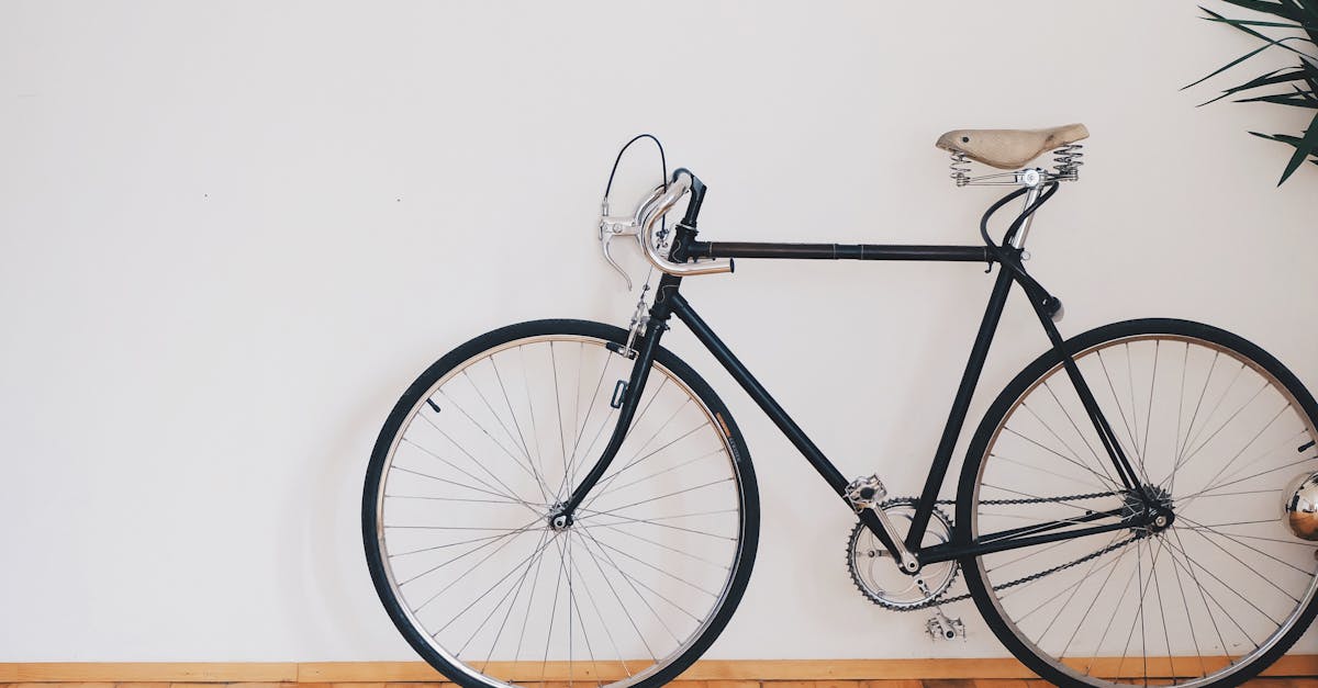 découvrez l'univers fascinant du cyclisme : conseils pratiques, parcours inspirants et astuces pour améliorer vos performances. que vous soyez débutant ou cycliste aguerri, apprenez à maîtriser votre vélo et à profiter pleinement de chaque sortie.
