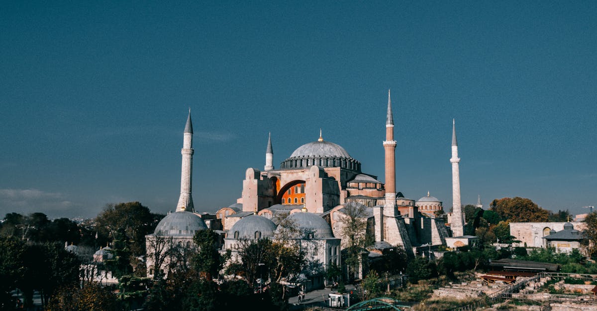 découvrez le concept innovant de la 'green turkey', un moyen durable et éthique d'apprécier la dinde tout en préservant l'environnement. explorez nos recettes délicieuses et nos conseils pour savourer ce plat traditionnel autrement.