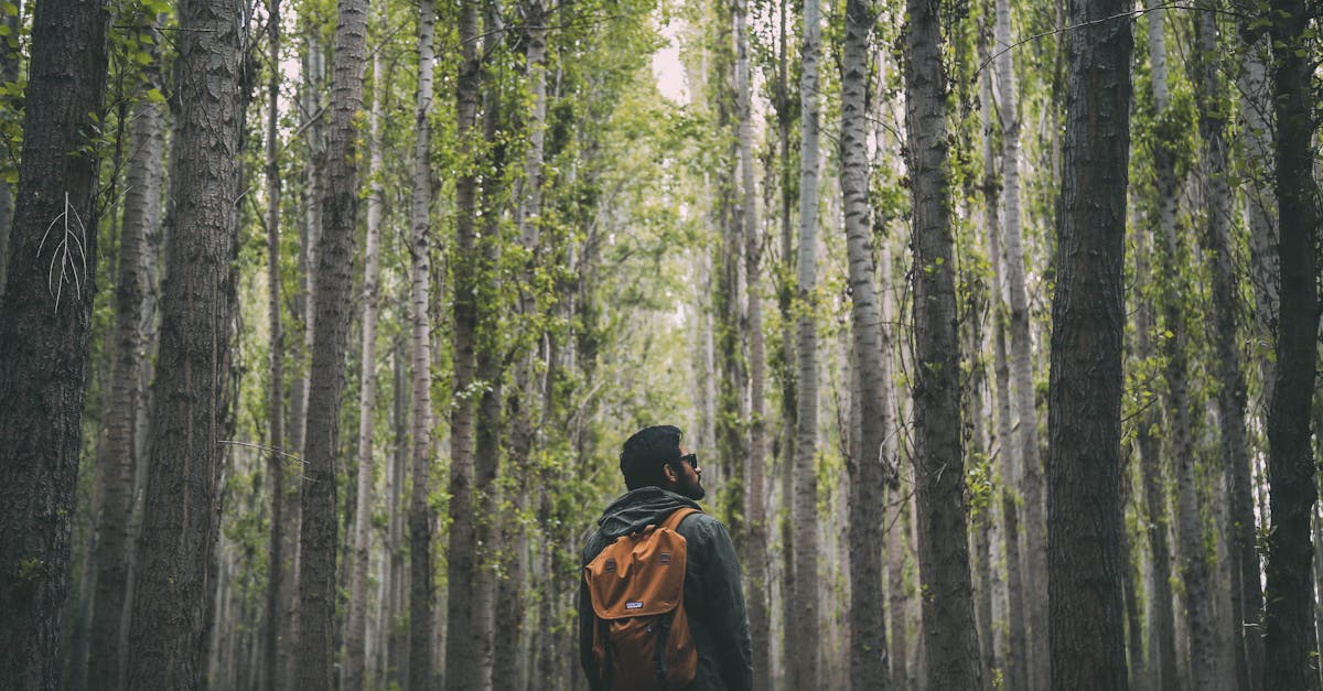 découvrez l'aventure en pleine nature avec notre guide sur la randonnée. explorez des sentiers, admirez des paysages époustouflants et trouvez des conseils pour tous les niveaux. partez à l'aventure dès aujourd'hui!