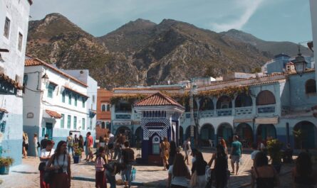 découvrez le nord du maroc, une région riche en paysages variés, culture vibrante et traditions authentiques. explorez les médinas animées, les plages magnifiques et les montagnes majestueuses qui font du nord marocain une destination incontournable.