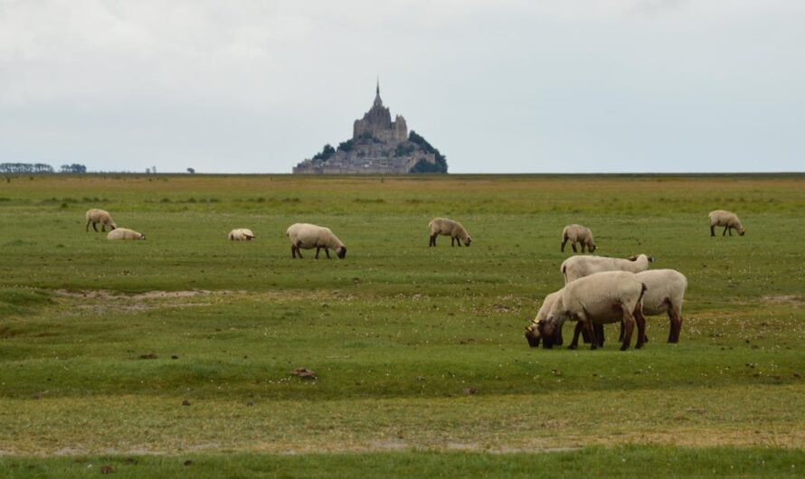 Tourisme rural : à la rencontre des villages de Kabylie