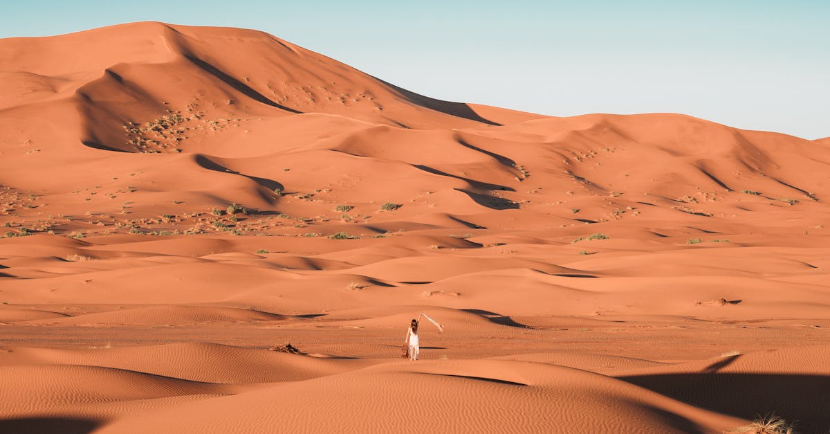découvrez le sahara, le plus vaste désert chaud du monde, caractérisé par ses dunes infinies, ses paysages à couper le souffle et sa biodiversité fascinante. explorez l'histoire, la culture et les merveilles naturelles de cette région emblématique.