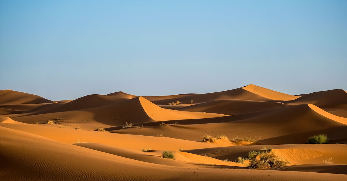 découvrez les merveilles du sahara, le plus grand désert chaud du monde, riche en paysages fascinants, cultures nomades et aventures inoubliables. explorez ses dunes majestueuses, ses oasis cachées et laissez-vous envoûter par la beauté austère de ce vaste territoire.