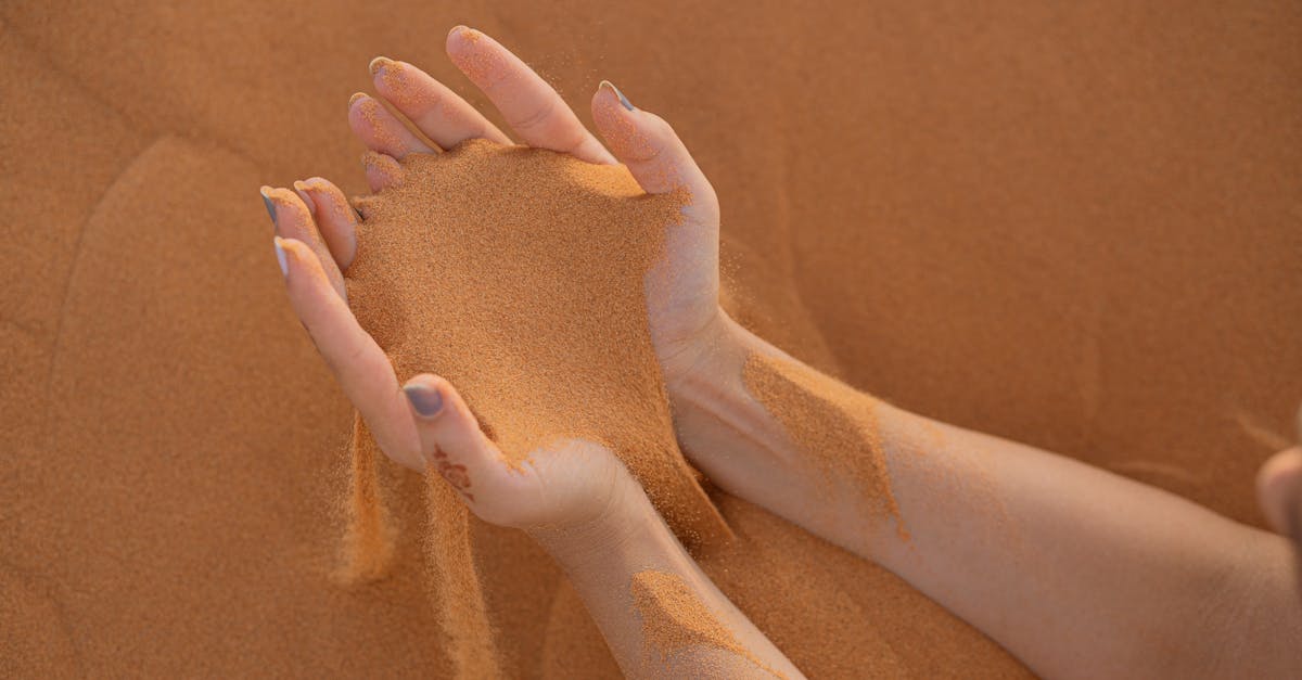 découvrez le sahara, le plus grand désert chaud du monde, où les paysages duneux, les oasis paisibles et une biodiversité surprenante se mêlent à une culture riche. partez à l'aventure dans cet environnement unique et explorez ses mystères envoûtants.
