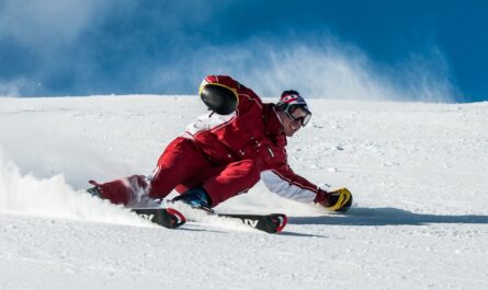 découvrez l'univers du ski : des pistes enneigées aux conseils pour choisir votre matériel, vivez des aventures inoubliables en montagne. préparez-vous à dévaler les pentes et à profiter des paysages immaculés !