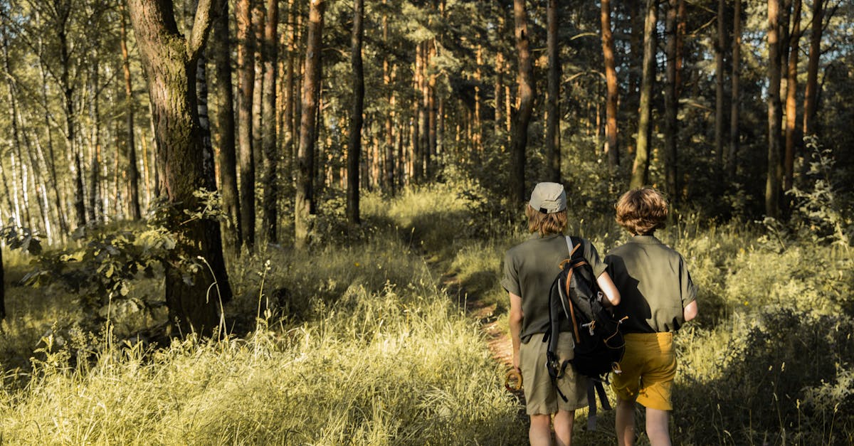 découvrez le voyage durable : des conseils et astuces pour explorer le monde tout en préservant l'environnement. adoptez des pratiques écoresponsables pour un tourisme responsable et respectueux.