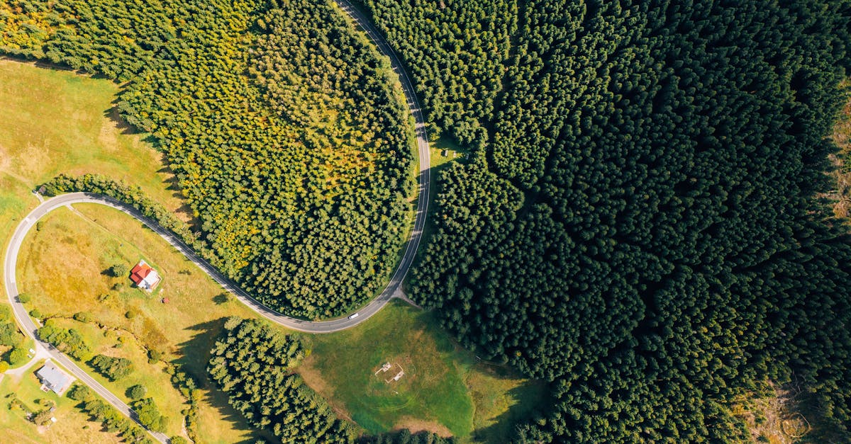 découvrez le voyage durable : explorez des destinations éco-responsables, adoptez des pratiques respectueuses de l'environnement et vivez des expériences authentiques tout en préservant notre planète. engagez-vous pour un tourisme éthique et responsable.