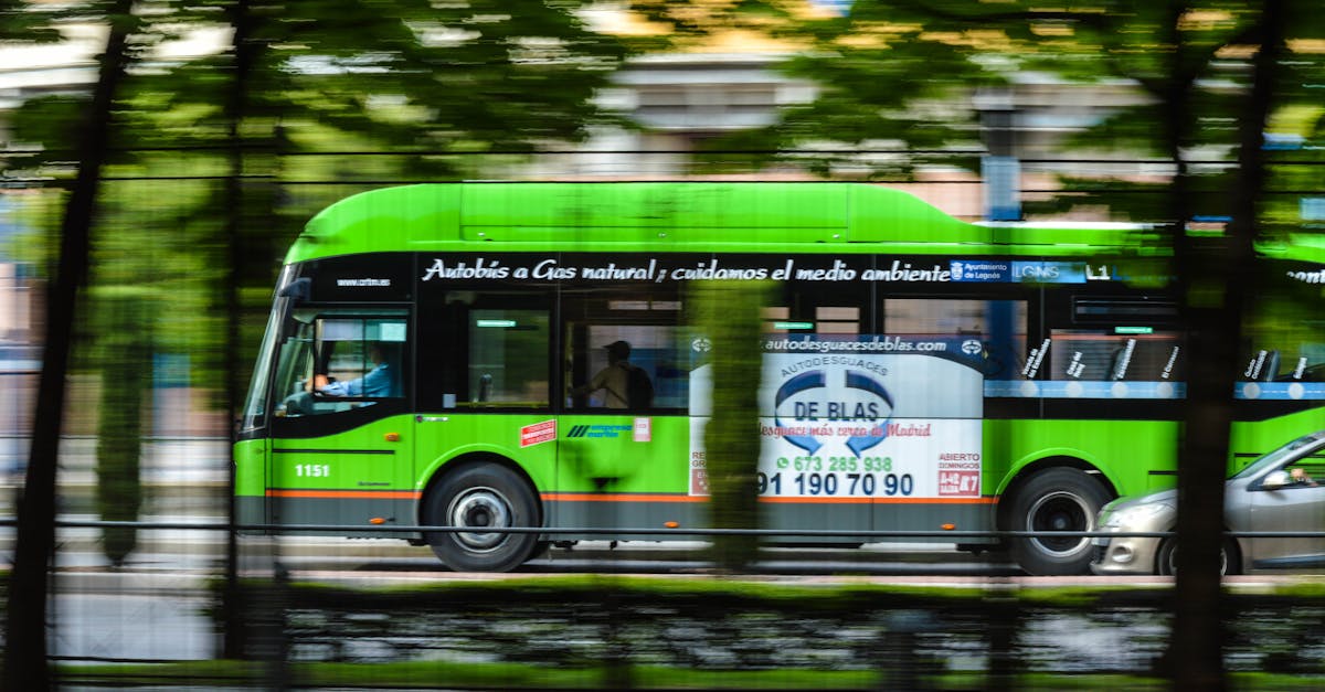 découvrez l'art du voyage durable avec nos conseils pratiques pour minimiser votre empreinte écologique tout en explorant des destinations authentiques. engagez-vous dans le tourisme responsable et respectez les cultures locales tout en préservant les beautés naturelles de notre planète.