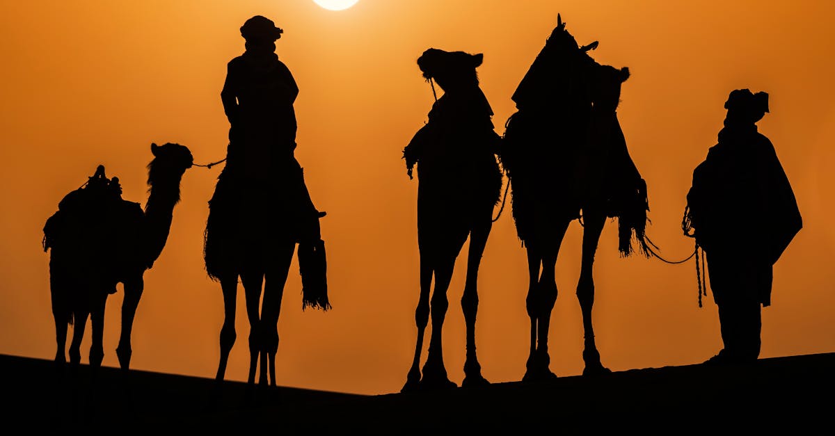 découvrez tamanrasset, joyau du sahara, célèbre pour ses paysages époustouflants, sa culture riche et son héritage berbère. explorez les montagnes de l'ahaggar, vivez une aventure authentique au cœur de l'algérie et laissez-vous envoûter par la magie du désert.