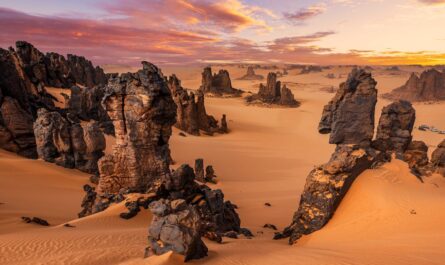 découvrez tamanrasset, une perle du désert algérien, où la culture touareg rencontre des paysages époustouflants. explorez ses montagnes majestueuses, ses dunes dorées et plongez dans l'authenticité de la vie nomade au cœur du sahara.