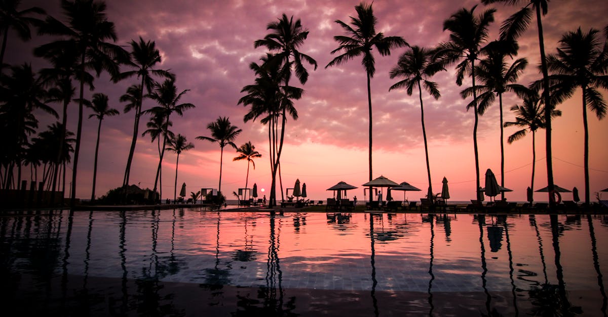 découvrez des idées de vacances inoubliables, des conseils pour planifier votre voyage parfait et des destinations à couper le souffle. évadez-vous et vivez des moments d'exception.