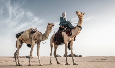 découvrez l'algérie, un pays riche en histoire et en culture, des paysages à couper le souffle aux traditions vibrantes. explorez ses sites historiques, sa gastronomie savoureuse et ses divers écosystèmes. partez à l'aventure et laissez-vous séduire par la beauté de l'algérie.
